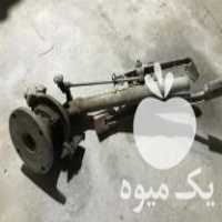 فروش گان باران مصنوعی در گرگان در گروه خرید فروش عمده انواع گل - پروش قاشقی موسی ساکولنت بن سای در یکمیوه