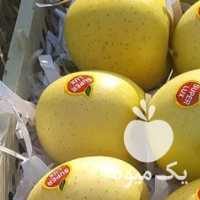 فروش سیب سفید و قرمز فرانسه در ارومیه در گروه خرید فروش عمده سیب - زرد و قرمز گلاب پاییزه در یکمیوه