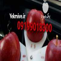فروش سیب صادراتی زیر قیمت همه جا در اشنویه در گروه خرید فروش عمده سیب - زرد و قرمز گلاب پاییزه در یکمیوه
