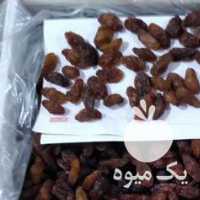 فروش کشمش سبز قلمی کاشمر و مویز فخری ومغز پسته در تهران در گروه آجیل - فروش عمده محصولات در یکمیوه