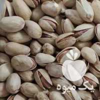 فروش پسته اکبری در یزد در گروه پسته - کوهی شامی خام اکبری تازه کله قوچی در یکمیوه