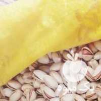 فروش پسته اکبری تمام خندان امسالی در یزد در گروه پسته - کوهی شامی خام اکبری تازه کله قوچی در یکمیوه