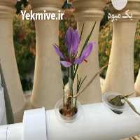 فروش دوره آموزشی کشت گلخانه زغفران در تهران در گروه خرید فروش عمده زعفران - قائنات قیمت خراسان بهرامن گرم در یکمیوه