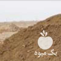 فروش تحویل کود گوسفند و گاو درب منزل در یزد در گروه خرید فروش کود و مواد شیمیایی - اوره پتاس مرغی کمپوست آهن در یکمیوه