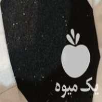 فروش بذر پیاز قرمز در بناب در گروه خرید فروش عمده پیاز - قرمز سفید زرد ترشی تازه انباری در یکمیوه