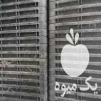 فروش سینی نشا دسته دوم یکسال کارکرد در لنگرود در گروه خرید فروش نشا - انواع گوجه برنج کاهو پیاز کاری فرنگی در یکمیوه