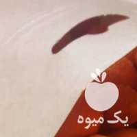 فروش بیواسطه بادام زمینی و تخمه با روکشهای طعم دار در تهران در گروه آجیل - فروش عمده محصولات در یکمیوه