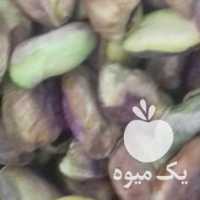 فروش پسته بادام گردو فندق انجیر بادام زمینی در یزد در گروه بادام - درختی کوهی زمینی فروش عمده در یکمیوه