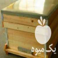 فروش کندو بدنه نیم طبق در رویان در گروه زنبورعسل - زنبورداری نوین صنعتی مدرن کندو در یکمیوه