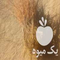 فروش عیدانه نهال زرشک درجه یک مستقیم از باغدار در بیرجند در گروه خرید فروش نهال - انواع گردو پسته بادام سلطانی انگور در یکمیوه