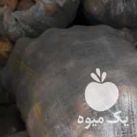 فروش سیب زمینی در کرمانشاه در گروه خرید فروش عمده سیب زمینی - زودرس دیررس آگریا اسپریت اردبیل همدان در یکمیوه