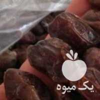 فروش خرما کبکاب عمده در بوشهر در گروه خرید فروش عمده خرما - کبکاب تازه زاهدی خشک خارک در یکمیوه