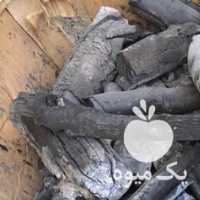 فروش زغال پسته در تهران در گروه خرید فروش عمده چوب- زغال چوب گردو تبریزی خام در یکمیوه