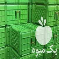 فروش انواع سبد ماهی و میگو  ،  باسکت ماهی  ،  صندوق و لگن ماهی در قشم در گروه خرید فروش انواع سبد - میوه پلاستیکی چوبی گل در یکمیوه