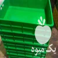 فروش جعبه پرورش میلورم باکس میلورم سبد میلورم در تهران در گروه خرید فروش انواع سبد - میوه پلاستیکی چوبی گل در یکمیوه