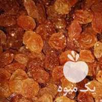 فروش کشمش گردو بادام خشکبار کشمش کالیفرنیایی طلایی در تهران در گروه آجیل - فروش عمده محصولات در یکمیوه