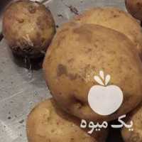 فروش سیب زمینی سانتا 97 در کرمانشاه در گروه خرید فروش عمده سیب زمینی - زودرس دیررس آگریا اسپریت اردبیل همدان در یکمیوه