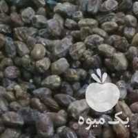 فروش خرما خشت در بوشهر در گروه خرید فروش عمده خرما - کبکاب تازه زاهدی خشک خارک در یکمیوه