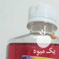 فروش عصاره زعفران برای کترینگ و عطاری و بازاریاب در مشهد در گروه خرید فروش عمده گیاهان زینتی - گرمسیری آپارتمانی باغچه آب در یکمیوه