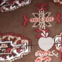 فروش اب زرشک در بیرجند در گروه خرید فروش عمده ازگیل و تمشک و زرشک - ژاپنی فروش مستقیم در یکمیوه