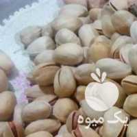 فروش پسته مغز سبز در قزوین در گروه پسته - کوهی شامی خام اکبری تازه کله قوچی در یکمیوه