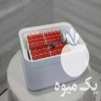 فروش دستگاه جوجه کشی 96 تایی ایزی باتور 2 در تهران در گروه تجهیزات دام و طیور - خرید فروش نو دسته دوم در یکمیوه