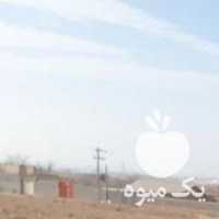 فروش کود گاوی و گوسفندی و بصورت مخلوط در مشهد در گروه خرید فروش کود و مواد شیمیایی - اوره پتاس مرغی کمپوست آهن در یکمیوه