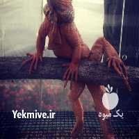 فروش خزندگان ايگوانا قرمز با مجوز در تهران در گروه خرید فروش اتصالات و تجهیزات آبیاری - شیر لوله نوار در یکمیوه