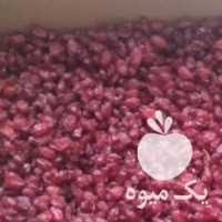 فروش زرشک پفکی در تهران در گروه خرید فروش عمده ازگیل و تمشک و زرشک - ژاپنی فروش مستقیم در یکمیوه