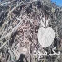 خرید و فروش چوب ذغالی در اصفهان در گروه خرید فروش عمده چوب- زغال چوب گردو تبریزی خام در یکمیوه