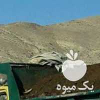 فروش پخش کود حیوانی گاوی گوسفندی در کل تهران خاک باغچه در گروه خرید فروش کود و مواد شیمیایی - اوره پتاس مرغی کمپوست آهن در یکمیوه