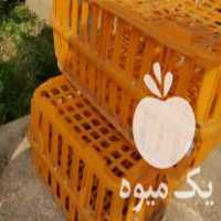 فروش وسایل مرغداری در جویبار در گروه تجهیزات دام و طیور - خرید فروش نو دسته دوم در یکمیوه
