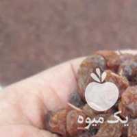 فروش کشمش افتابی پلویی در همدان در گروه آجیل - فروش عمده محصولات در یکمیوه