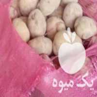 خریدارعمده سیب زمینی پیاز خوراک دامی یا انسانی در اصفهان در گروه خرید فروش عمده سیب زمینی - زودرس دیررس آگریا اسپریت اردبیل همدان در یکمیوه