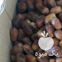فروش خرمای زاهدی در بوشهر در گروه خرید فروش عمده خرما - کبکاب تازه زاهدی خشک خارک در یکمیوه