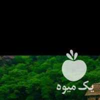 فروش برنج ایرانی چای لاهیجان در تهران در گروه خرید فروش عمده برنج - نیم دانه عنبر بو هاشمی کاظمی هندی پاکستانی در یکمیوه