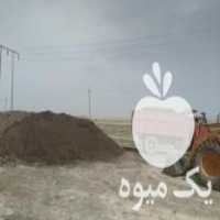 فروش کود حیوانی گوسفندی کهنه در قروه در گروه خرید فروش کود و مواد شیمیایی - اوره پتاس مرغی کمپوست آهن در یکمیوه