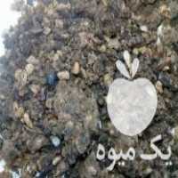 فروش تفاله زیتون  ،  کنجد  ،  گلزا  ،  افتاب گردان در تبریز در گروه خوراک دام و طیور - پرواری شیری علوفه یونجه در یکمیوه