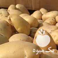 خریدار سیب زمینی برای صادرات در همدان در گروه خرید فروش عمده سیب زمینی - زودرس دیررس آگریا اسپریت اردبیل همدان در یکمیوه