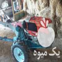 فروش تیلر 8 اسب کوبوتا چینی در سرباز در گروه خرید فروش نشا - انواع گوجه برنج کاهو پیاز کاری فرنگی در یکمیوه