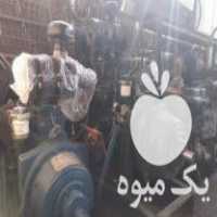 فروش ژنراتور اضطراری موتور آلات کشاورزی در همدان در گروه خرید فروش نشا - انواع گوجه برنج کاهو پیاز کاری فرنگی در یکمیوه