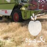 فروش کمباین سهند 85 بسیار تمیز در نصرآباد در گروه خرید فروش ماشین آلات کشاورزی - تراکتور تیلر کمباین مدرن در یکمیوه