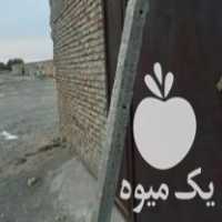 فروش پایه بتنی انگور و فنس در جغتای در گروه خرید فروش عمده انگور - یاقوتی شانی عسگری بی دانه قرمز در یکمیوه