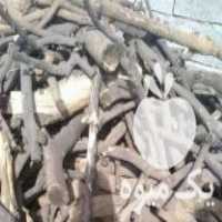 فروش عمده درجه یک ترین چوب مرکبات و چوب زیتون در اصفهان در گروه خرید فروش عمده چوب- زغال چوب گردو تبریزی خام در یکمیوه