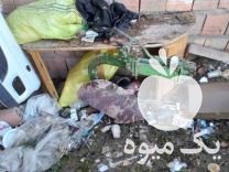 فروش شخم تیلر صفر در گرگان در گروه خرید فروش ماشین آلات کشاورزی - تراکتور تیلر کمباین مدرن در یکمیوه -عکس1