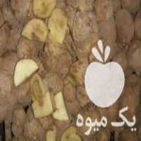 سیب دامی ،  فروش سیب زمینی دامی ،  زیرسرندی و فندوقی در بهار  در گروه خرید فروش عمده سیب زمینی - زودرس دیررس آگریا اسپریت اردبیل همدان در یکمیوه