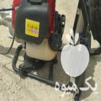 فروش گندم چین بسیار تمیز بدون کارکرد در لردگان در گروه خرید فروش ابزار ها و تجهیزات کشاورزی - دستی برقی ماشینی بیل کلنگ در یکمیوه