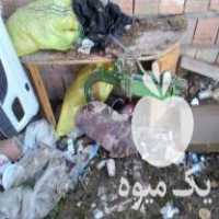 فروش شخم تیلر صفر در گرگان در گروه خرید فروش ماشین آلات کشاورزی - تراکتور تیلر کمباین مدرن در یکمیوه