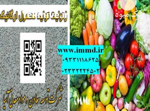 فروش خاک هوشمند در تولید محصولات ارگانیک در تهران در گروه خرید فروش عمده سبزی های برگی - خوردن آش کوکو دلمه قورمه در یکمیوه -عکس1