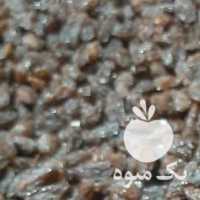 فروش مویز و کشمش دیم بش افتابی در شیراز در گروه آجیل - فروش عمده محصولات در یکمیوه